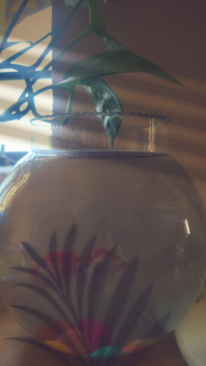 Shreypilot's tweet image. 🐟🐠 Hey Guyyss, I have a new fish pet, and I'm excited to give it a name! Any name suggestions for my adorable little friend? 🐡🐬 #FishPet #NameIdeas #NewPet #SuggestionsWelcome