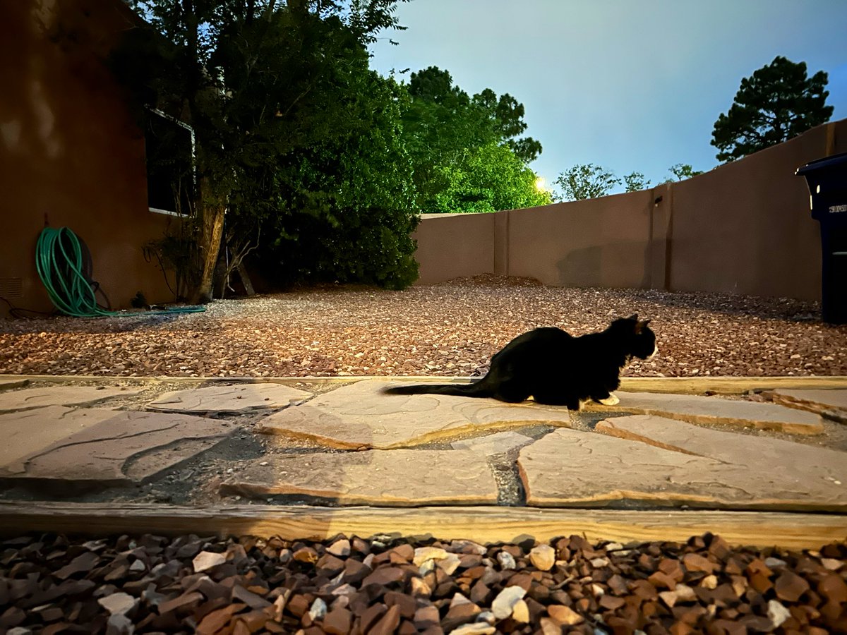 Chris Fallen, Doctor of Risks tweet media