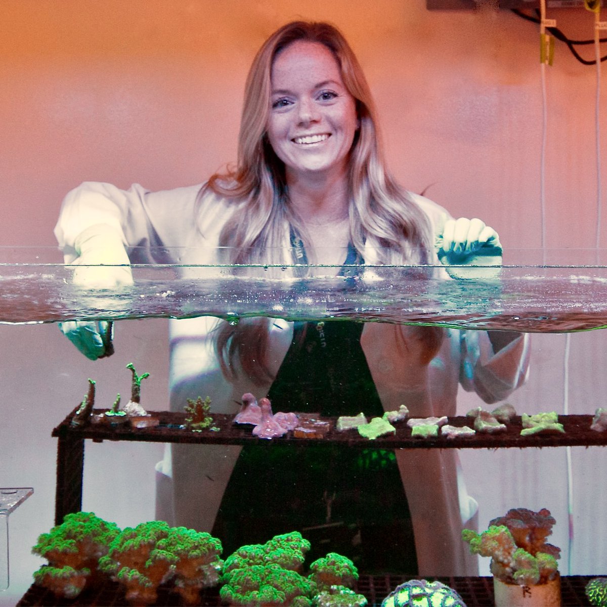 Sydney Institute of Marine Science (@sims_australia) on Twitter photo A new partnership between <a href="/UTS_Science/">UTS Science</a>, SIMS & funded by <a href="/ZIMMERMANN_/">ZIMMERMANN</a> allows <a href="/tinyscientist/">Jennifer Matthews</a> Dr. Jen Matthews to attempt to restore and conserve Sydney's rare corals by investigating how we can optimise their nutrition.
Stay tuned for more updates on this exciting research! 🪸 A new partnership between <a href="/UTS_Science/">UTS Science</a>, SIMS & funded by <a href="/ZIMMERMANN_/">ZIMMERMANN</a> allows <a href="/tinyscientist/">Jennifer Matthews</a> Dr. Jen Matthews to attempt to restore and conserve Sydney's rare corals by investigating how we can optimise their nutrition.
Stay tuned for more updates on this exciting research! 🪸