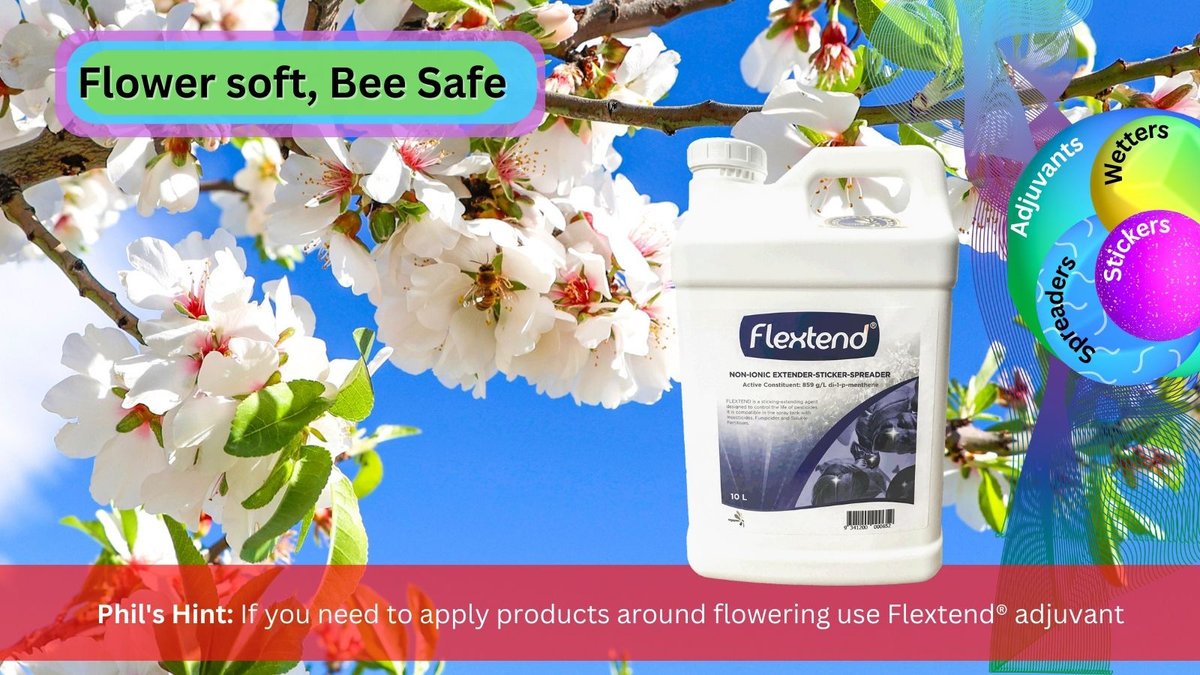 PhilsFotos's tweet photo. Flower soft, Bee safe.
🌻&🐝are so important in so many crops. #Flextend from #Agspec rates 5🌟 in terms of softness to flowers and safe for foraging bees With the added benefit of protecting bees from harsh products that may need to be applied
https://t.co/uxirHFNmF5
#beesafe https://t.co/k0OogCPzX4