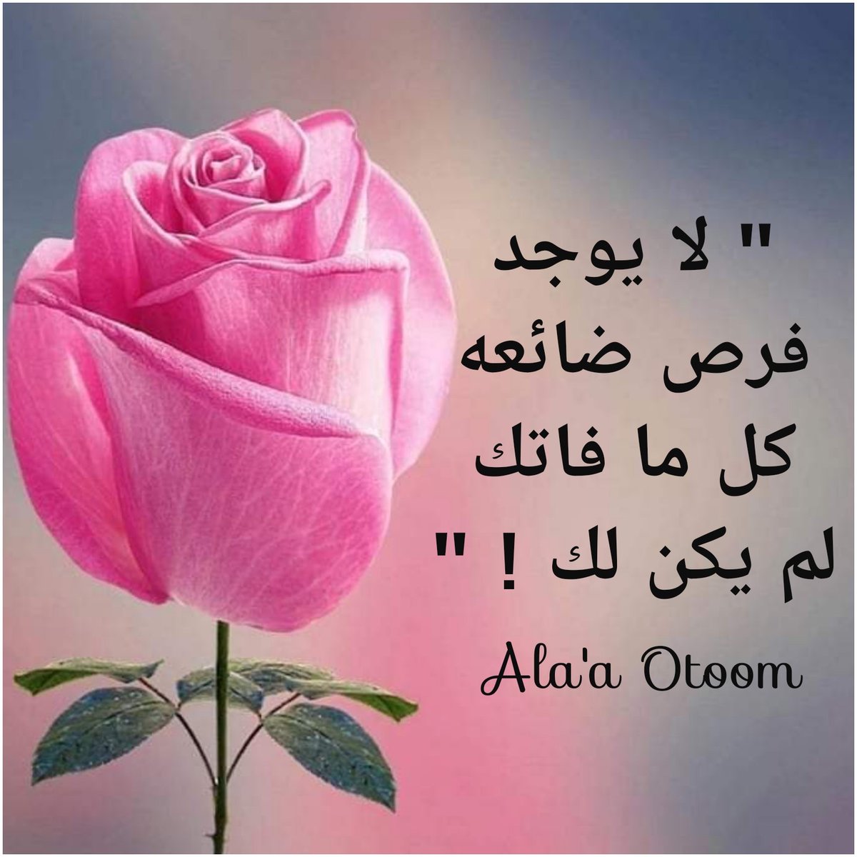 24ather's tweet photo. https://t.co/6T7mxD9XtZ