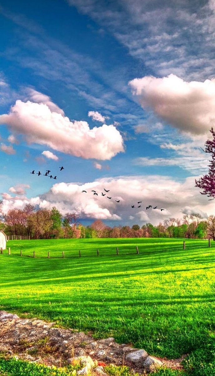 Leonor08159041's tweet photo. Have a wonderful day 🩷 https://t.co/0Yj09kWtzZ
