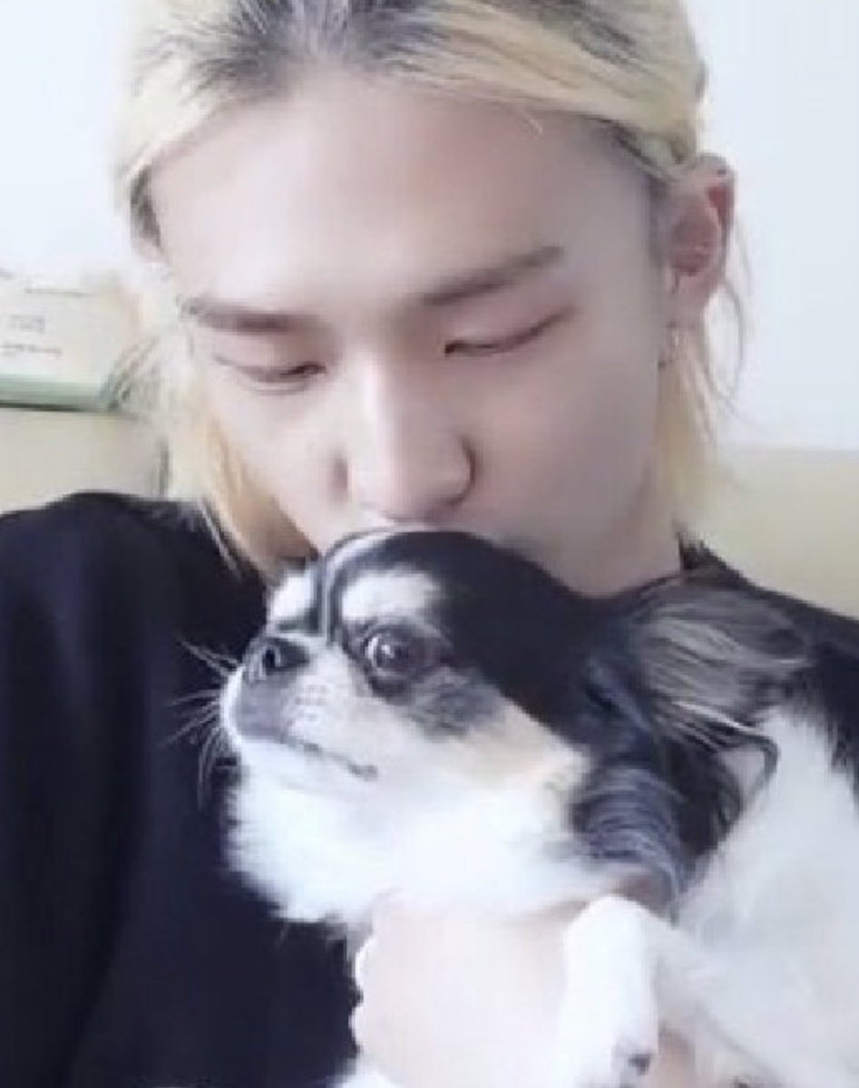 hyunieferrets's tweet photo. kisses for kkami https://t.co/xHgs3FI9bg