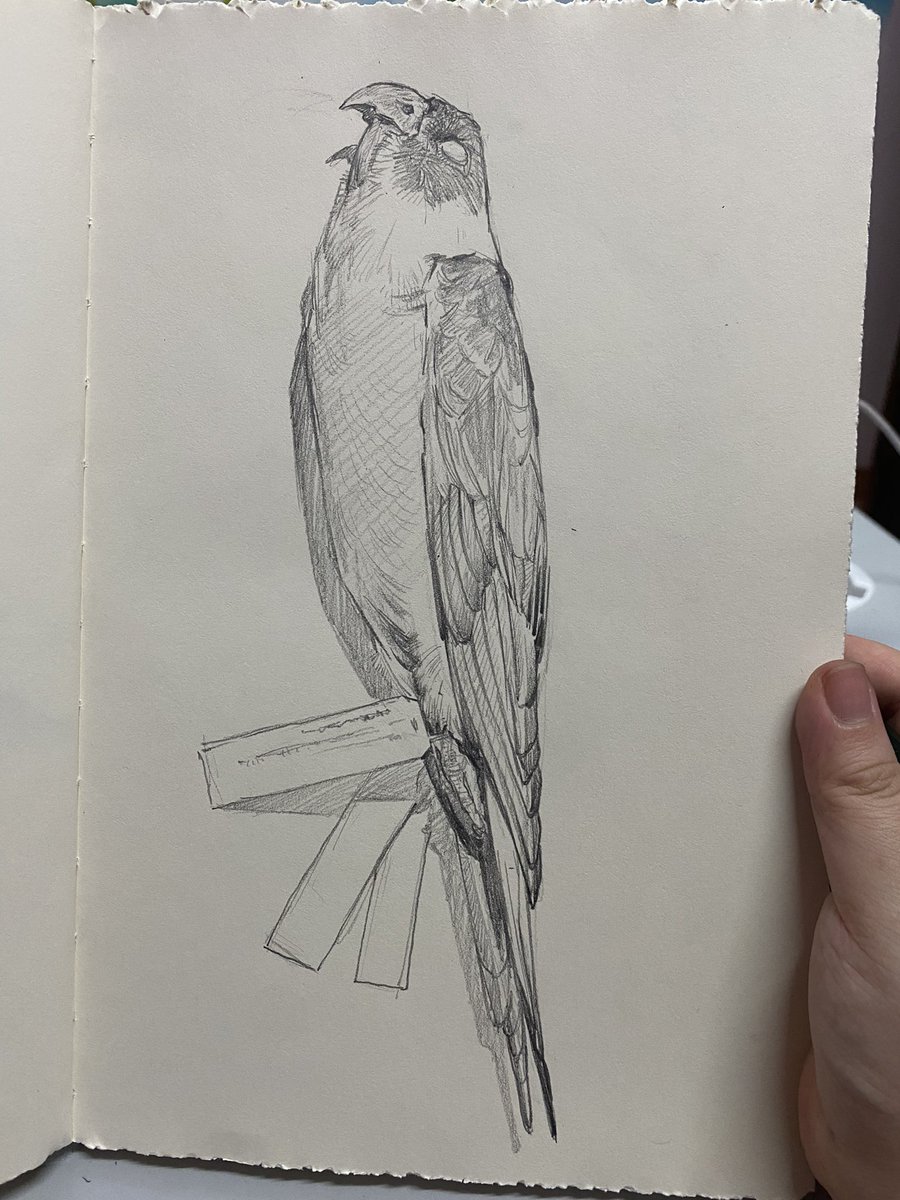 Cloudtaincrow's tweet photo. some sketch https://t.co/fsi6XbEdMq