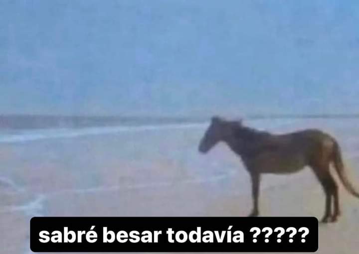 nxstypxet's tweet photo. Dudas que no me dejan dormir: https://t.co/konbUAJV02