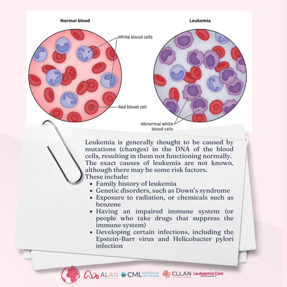 Some useful information about leukemia. Remember: being informed is essential.

#BeLeukemiaAware
#WLD23
#WorldLeukemiaDay
#BloodCancerAwarenessMonth #yourenotalone
 #Leukemia #PatientAdvocacy
#ALAN
#blood
#risk