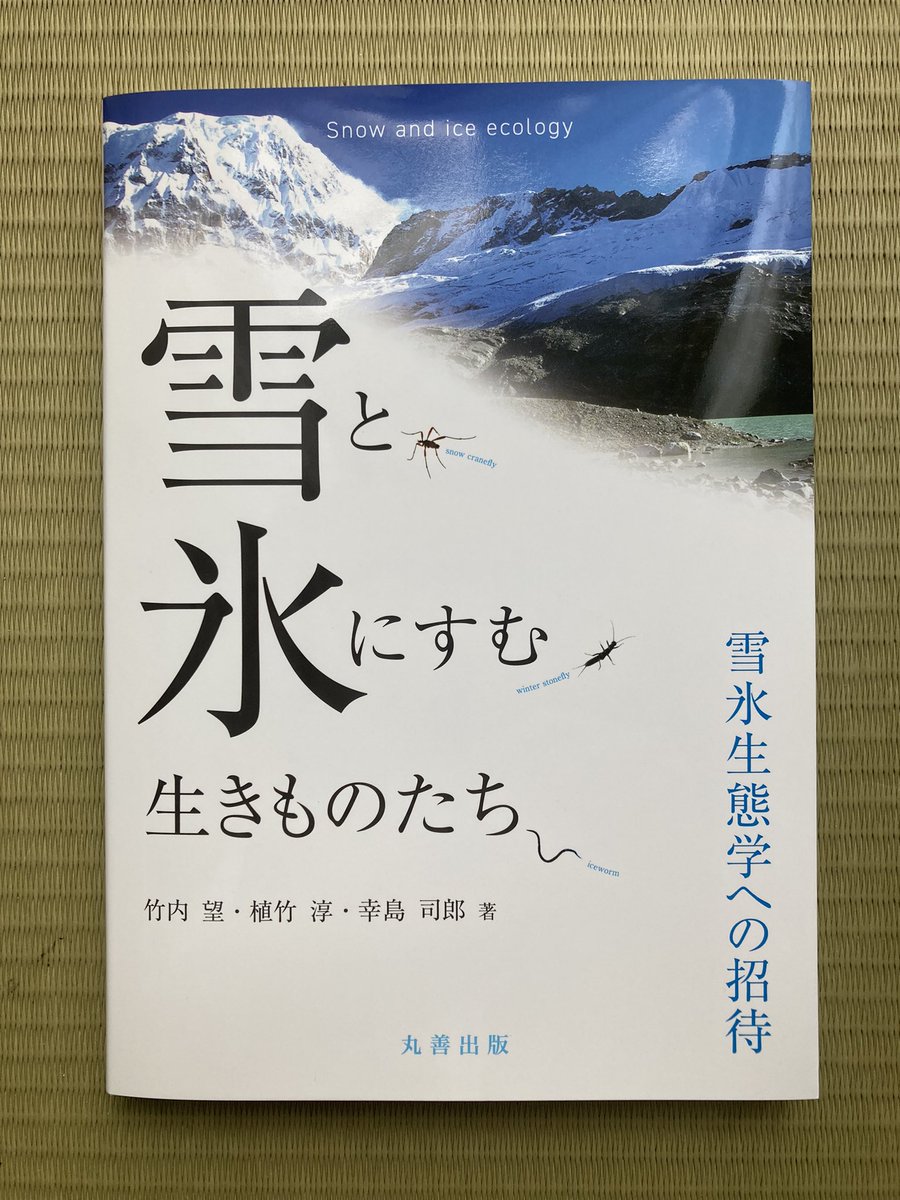 幸島司郎 tweet media