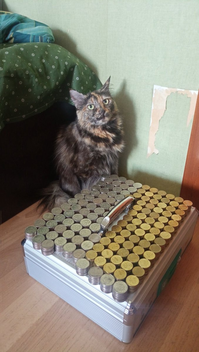 Скуму на всё, пожалуйста