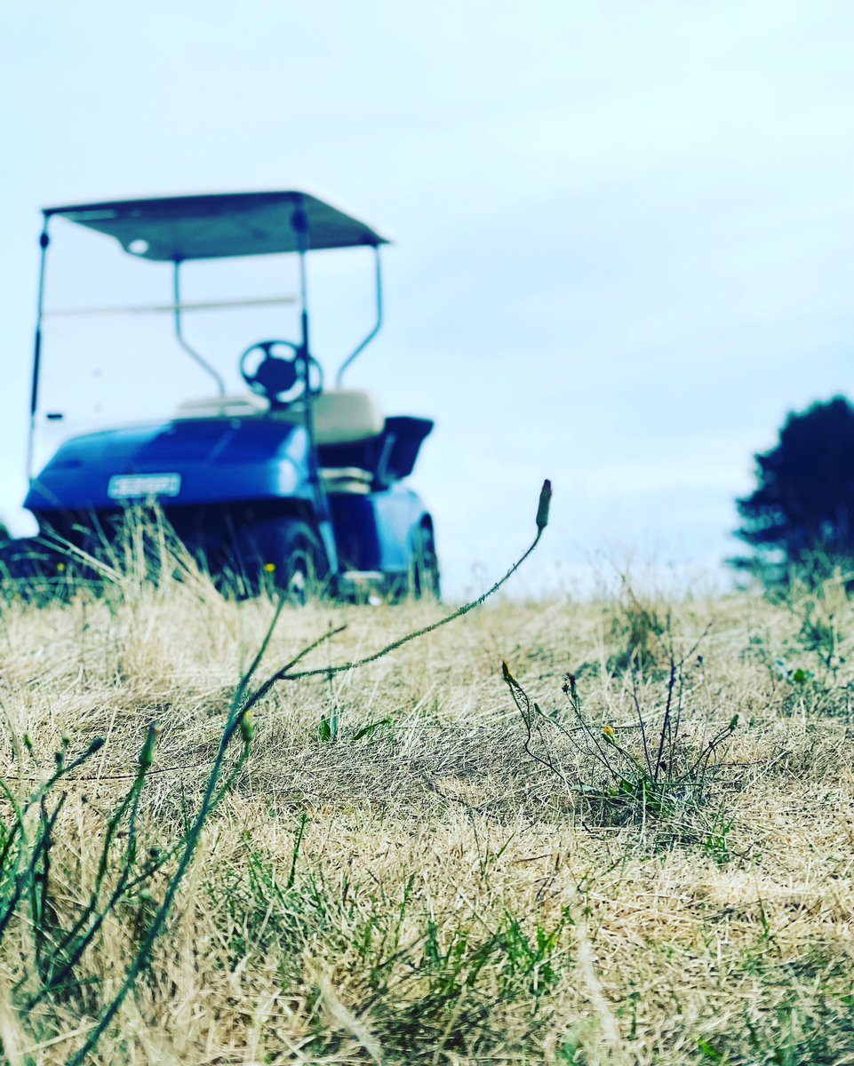 Open 10:00 to 19:30! ⛳️⚽️ #swansea #swanseafootgolf #footgolf #whatsonswansea #summerstyle #summerholidays2023