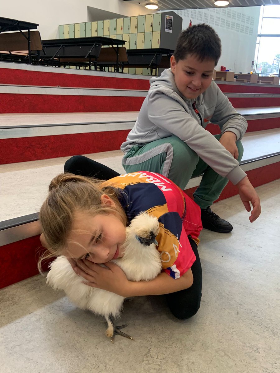 Central Academy tweet media