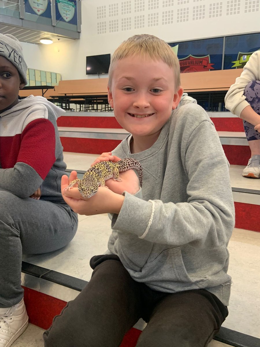 Central Academy tweet media