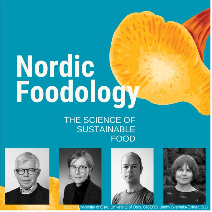 Image from nordicfoodology (@nordicfoodology)