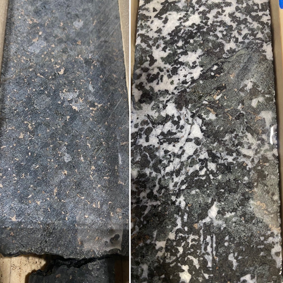 Tom Wise tweet media