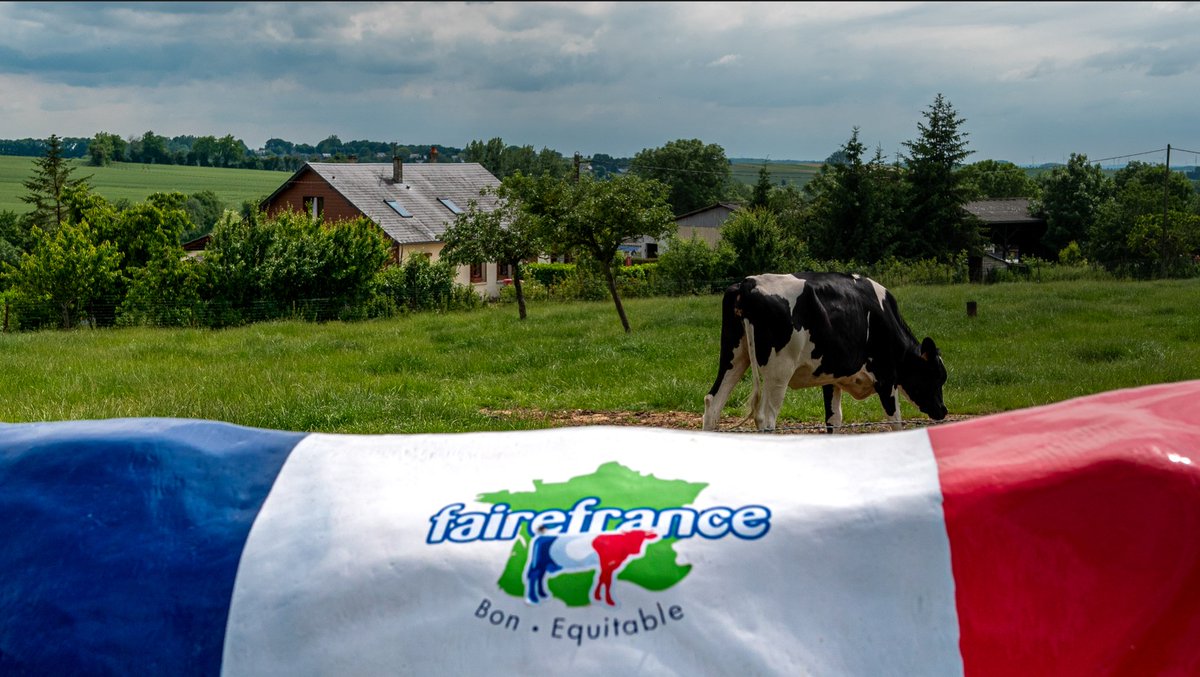 Une vache peut en cacher une autre ! Mais elles sont toutes importantes dans notre métier 🤩🤩🥰🥰🥛🥛👇👇