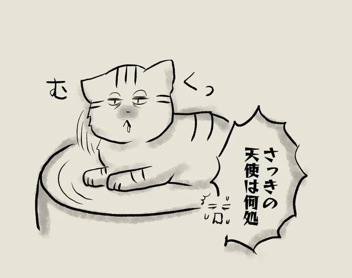 ついつい時間が経つのを忘れてしまう、猫のお昼寝観察【連載】交通事故にあった猫を拾いました#123|ねこのきもちWEB MAGAZINE 