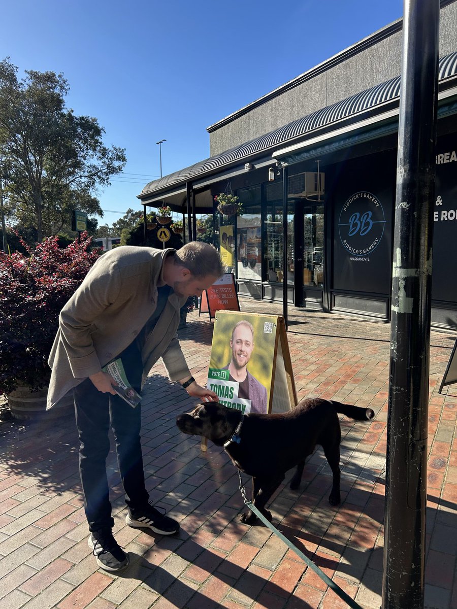 Petting pups down at the Warrandyte Goldfields Shops today.... and chatting local issues such as walkability and warrandyte road
...but petting pups 💚🐶 #warrandyte #votegreen #pups
