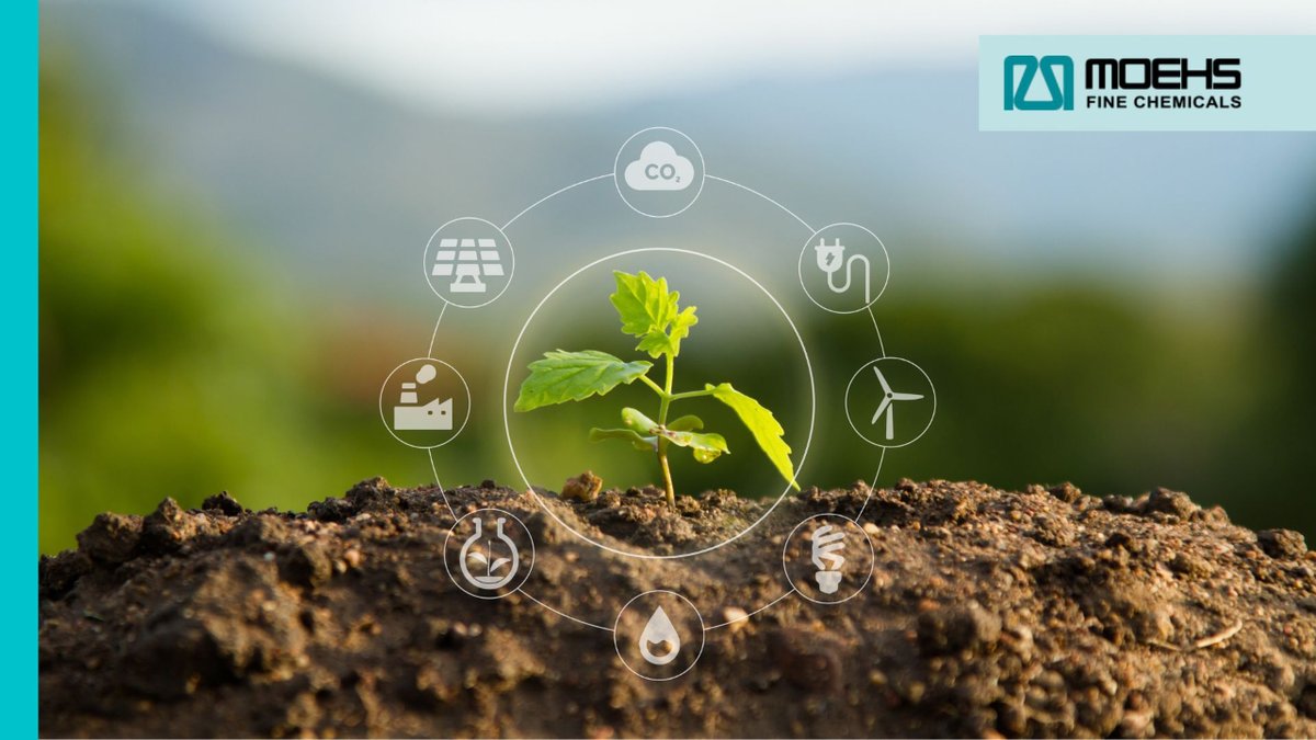 moehsgroup's tweet image. MOEHS as a supplier of pharmaceutical companies, supports and follows the recommendations of the principles of responsibility of the PSCI (Pharmaceutical Supply Chain Initiative).

👉🏻 mtr.cool/qochvuxphx

#environment #PSCI #commitment #Moehs #ourplanet