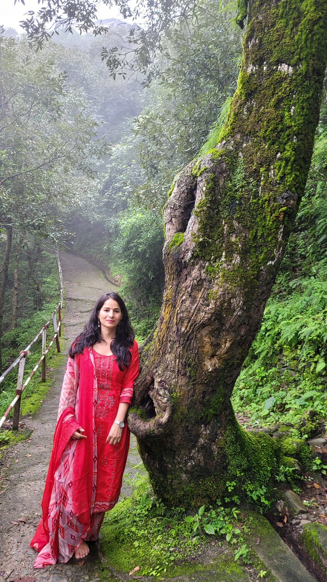 DeveshwariBisht's tweet photo. Some beautiful paths can’t be discovered without getting lost
#thegreathimalaysnjourney https://t.co/cgEhM9OZux