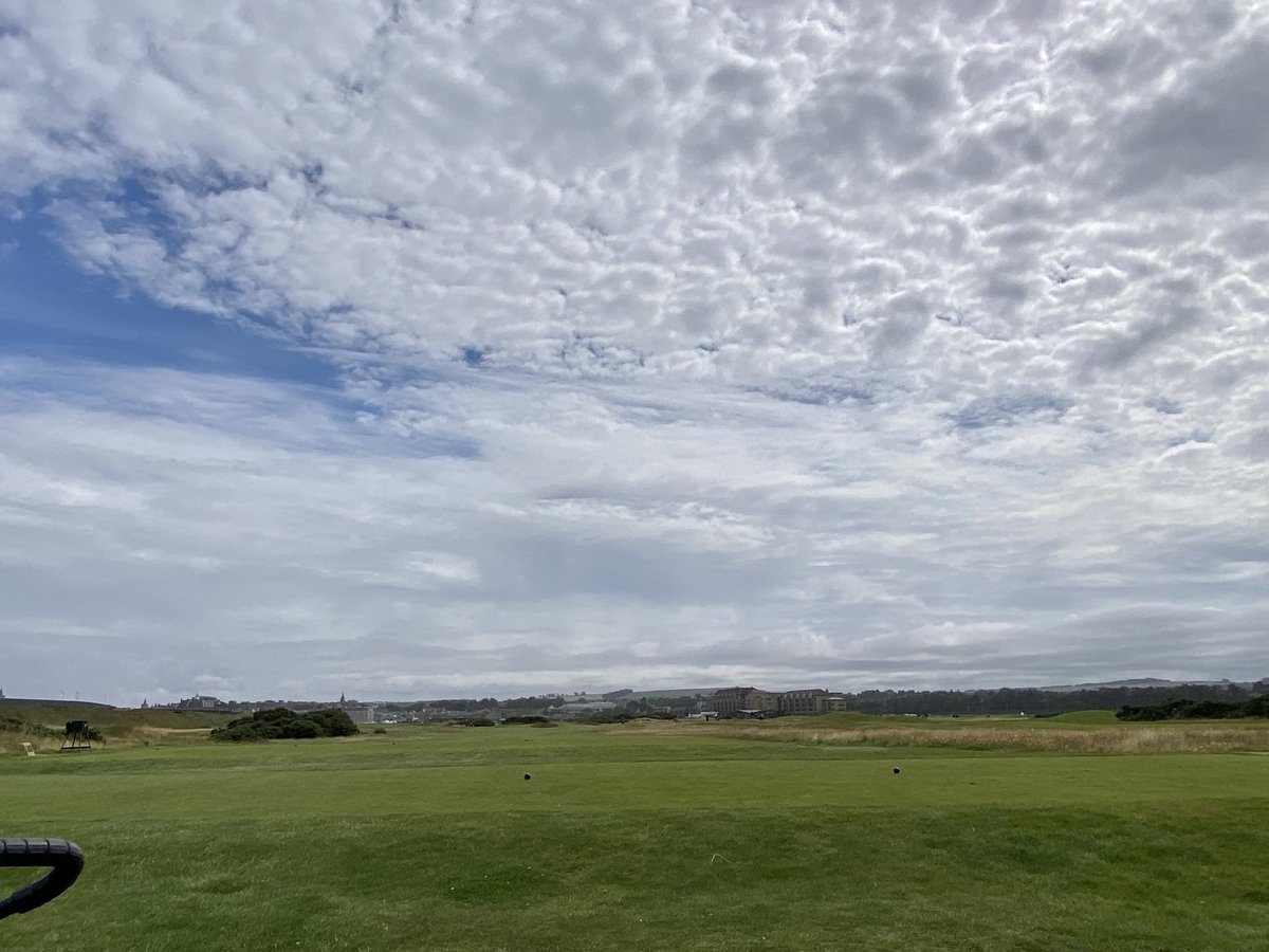 Marc Fein tweet media