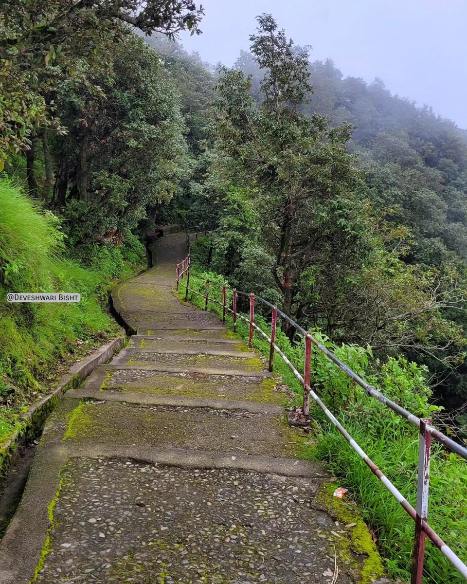 Some beautiful paths can’t be discovered without getting lost
#thegreathimalaysnjourney