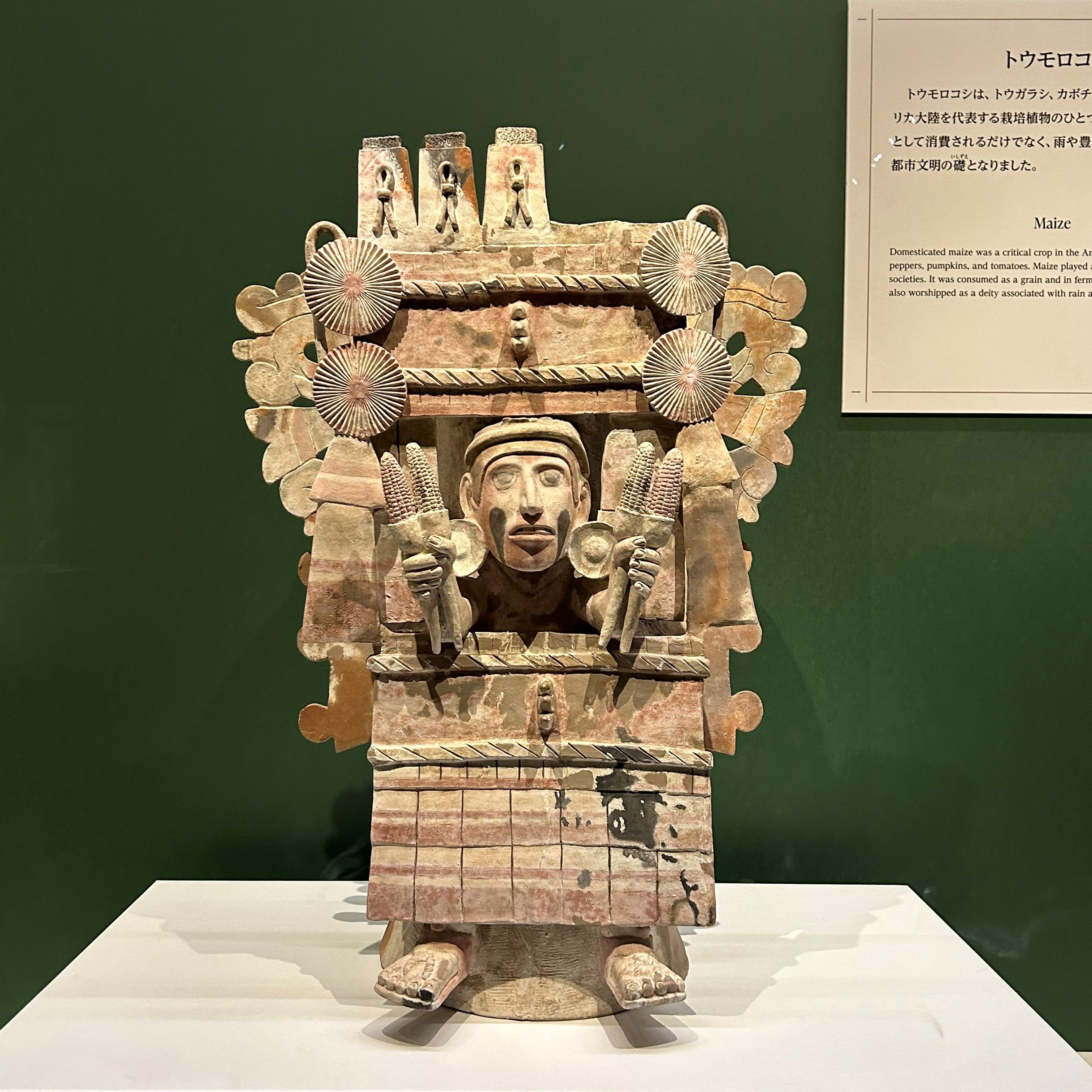 メキシコ マヤ文明 ソンブレロ メキシコ料理 グルメ トウモロコシ サボテン Amazon.co.jp: メキシコ マヤ文明 ソンブレロ メキシコ料理