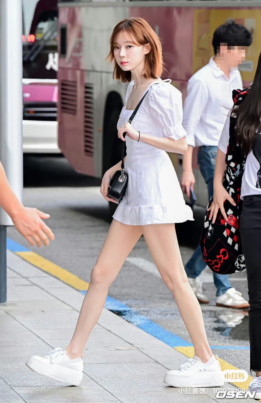 Charles and keith リボンスニーカー レースアップ 白 フラワー 𝚙𝚘𝚖𝚎🐈⬛ on X: