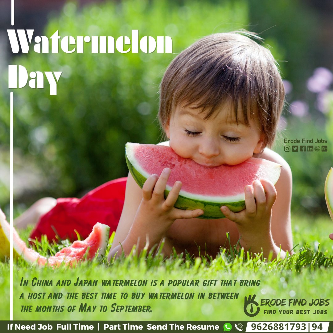 Erodefindjobs's tweet photo. National Watermelon Day...!
.
.
.
#watermelon #watermelon🍉 #watermelontourmaline #watermelonsugar #nationalwatermelonday #watermelonday
#erodefindjobs #findjobs #internshipoppurtunity #wfh #partimejobs #hirings https://t.co/CM9reSBBCt
