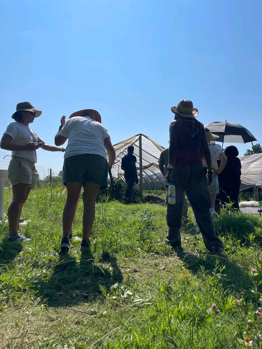 Jomoworks tweet media