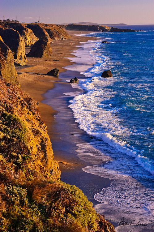 Pacific Coast, Sonoma County, California #PacificCoast #SonomaCounty #California milesriley.com