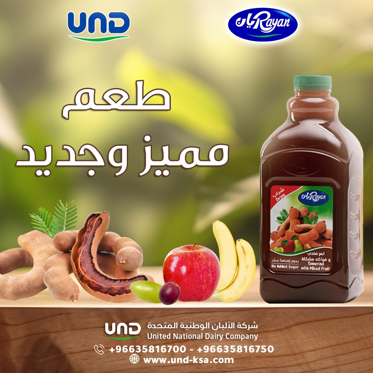 Rayan ريان tweet media