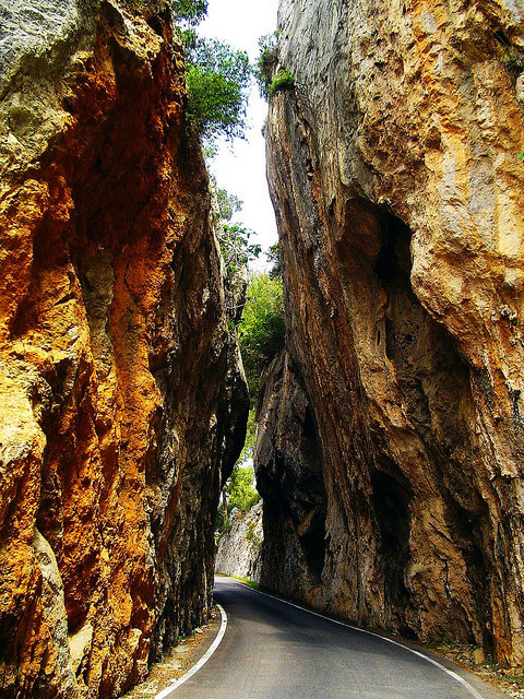 visitharford's tweet photo. One Lane, Route de Montagne, France #OneLane #RoutedeMontagne #France https://t.co/xfEsF23lLN https://t.co/Qg1ME28MtL