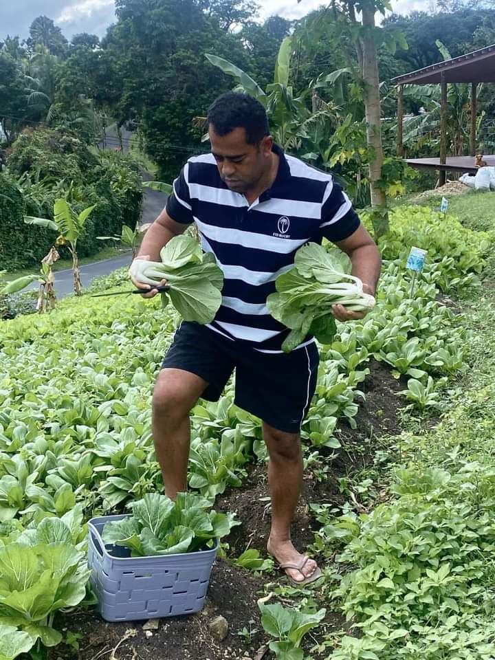 slrabuka's tweet photo. Plant Fiji! Tovolea mada!

I call on all Fijians to make use of any square meter of land  around your house and plant fruits and vegetables to cushion the increase in food prices. https://t.co/ctVuvcvVRs