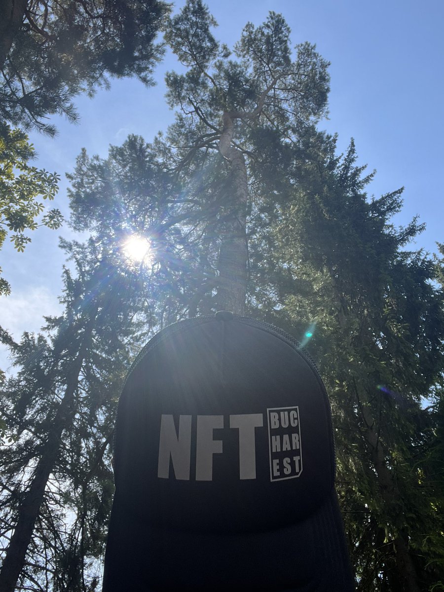 NFT Bucharest: May 8-9 🚀 tweet media