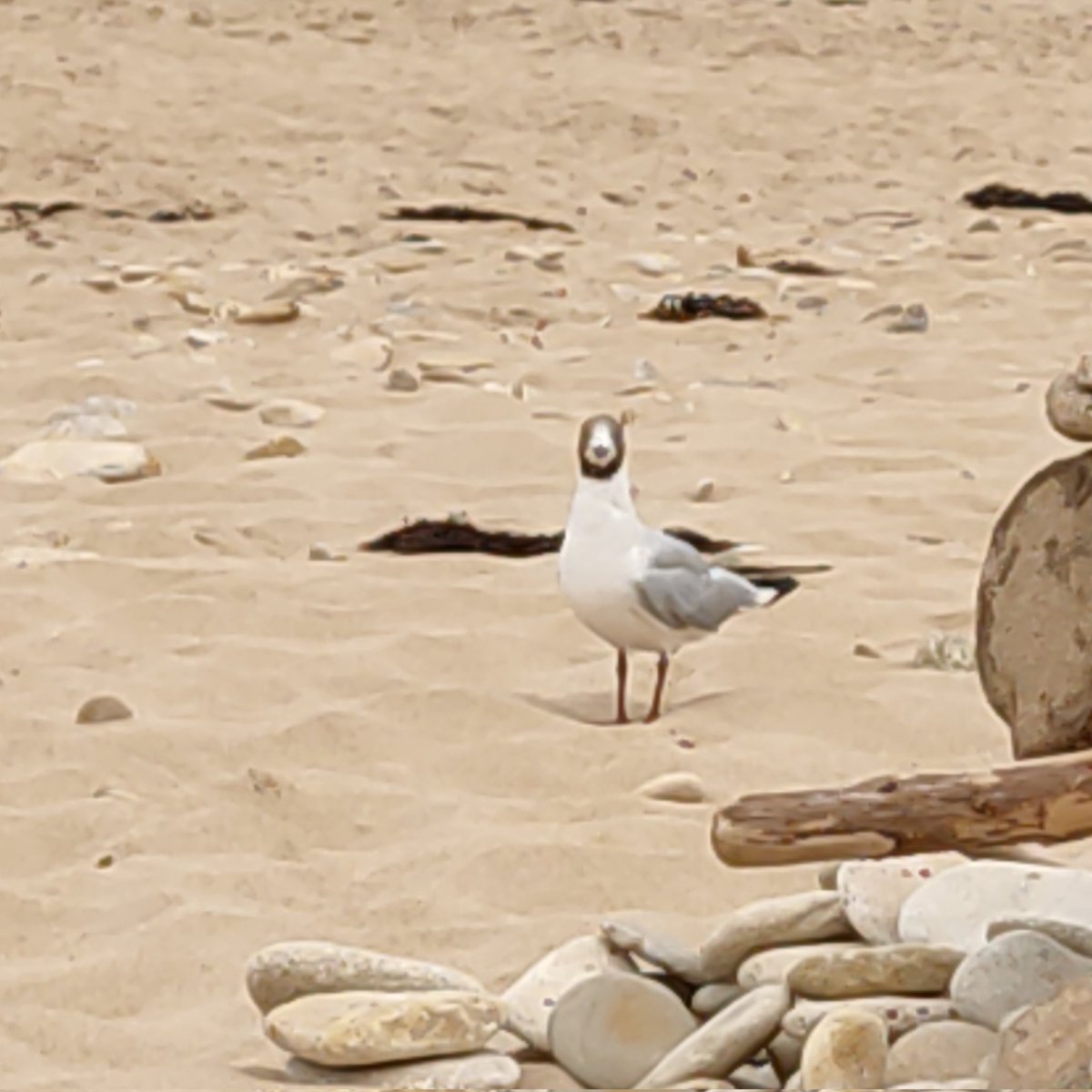 #NouvellePhotoDeProfil