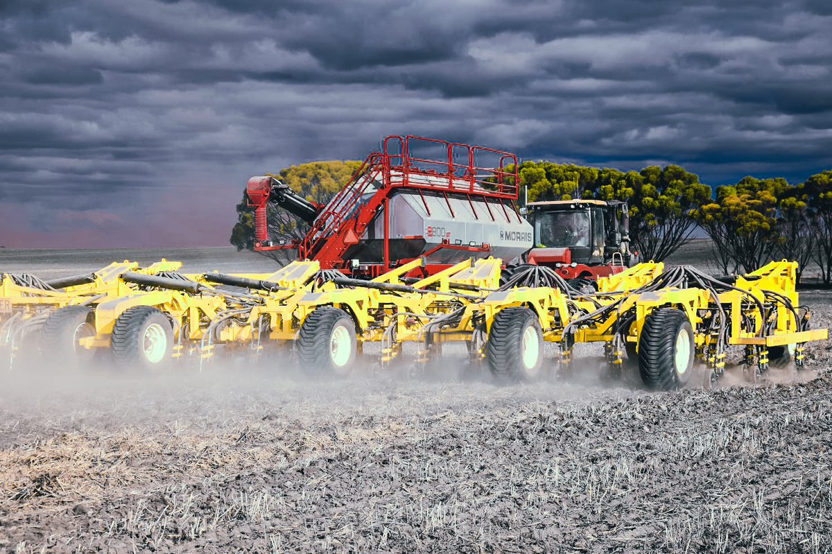 Seed Storm tweet media