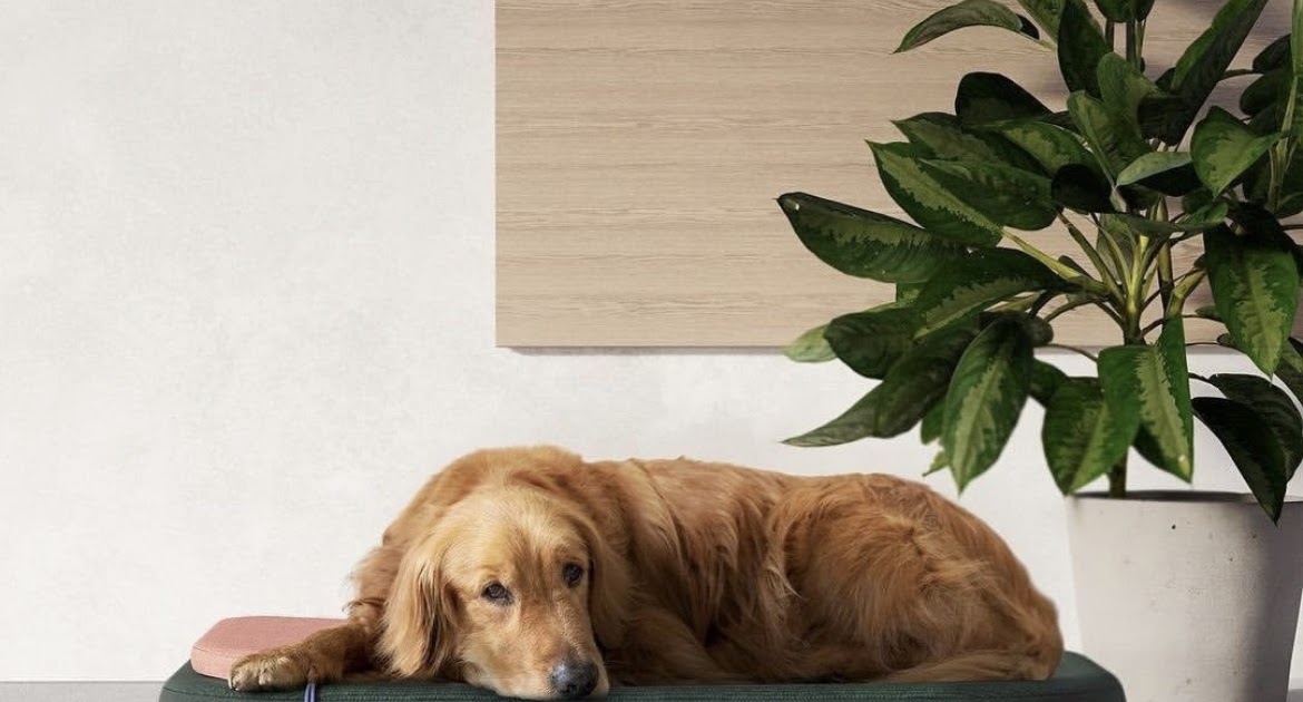 Design Fetish tweet media