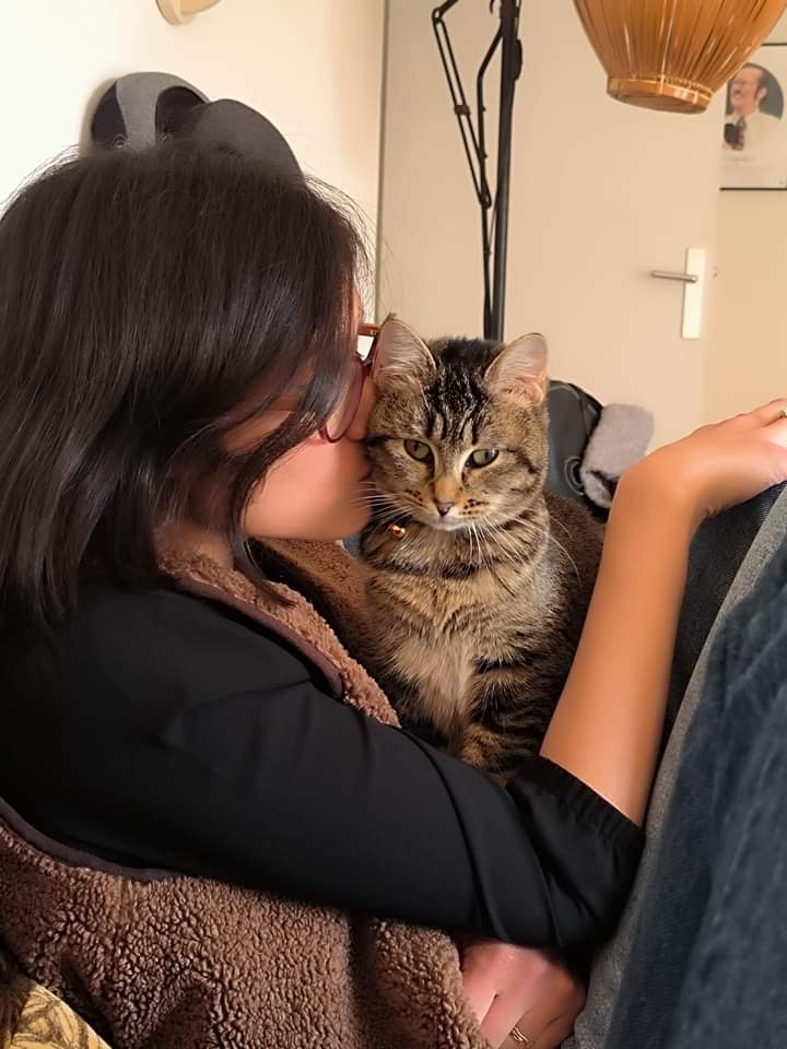 Adoptée, 1 an après :
Lorena, trouvée sur Vaulx-en-Velin avec d'autres chatons. Au vu de sa maigreur extrême ses jours étaient comptés. Ajouté à cela, un coryza qui lui avait déjà attaqué les yeux 😢 Mais après qlqs semaines en FA et de super adoptants elle s'est métamorphosée ❤️