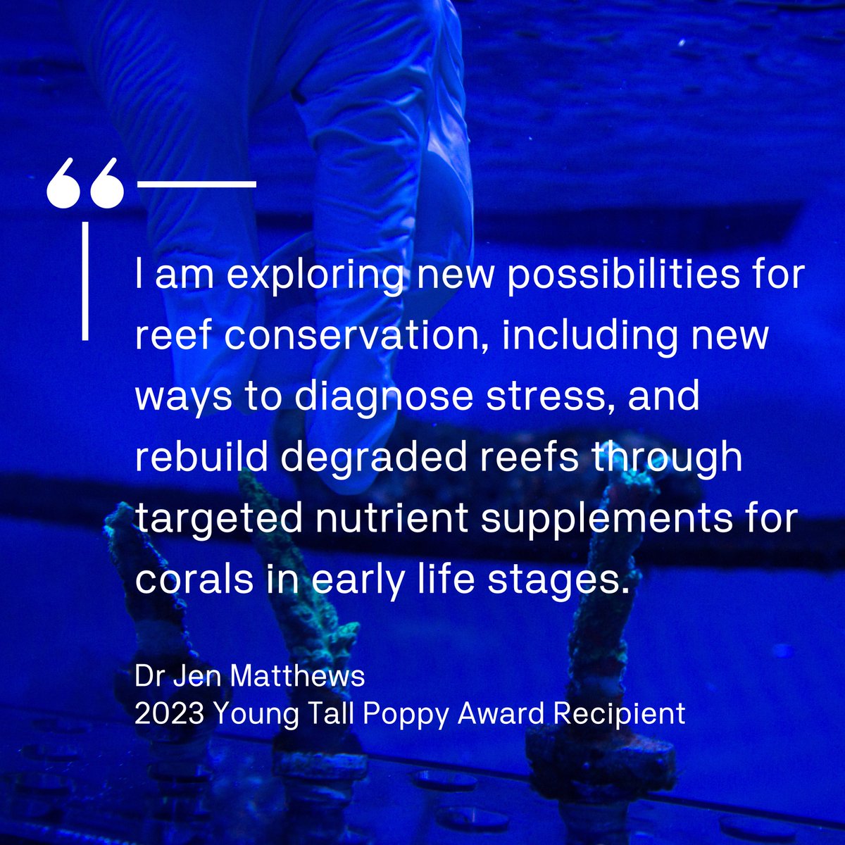 Dr Jen Matthews is a 2023 NSW Young Tall poppy! This award recognises Dr Matthews' work 'unraveling the mysterious realm of coral nutrition'. Congratulations @tinyscientist!🪸 Read more: t.ly/xubhc

@uts_c3 @aipolsci #YoungTallPoppy #Coral #Research #Science #Ocean