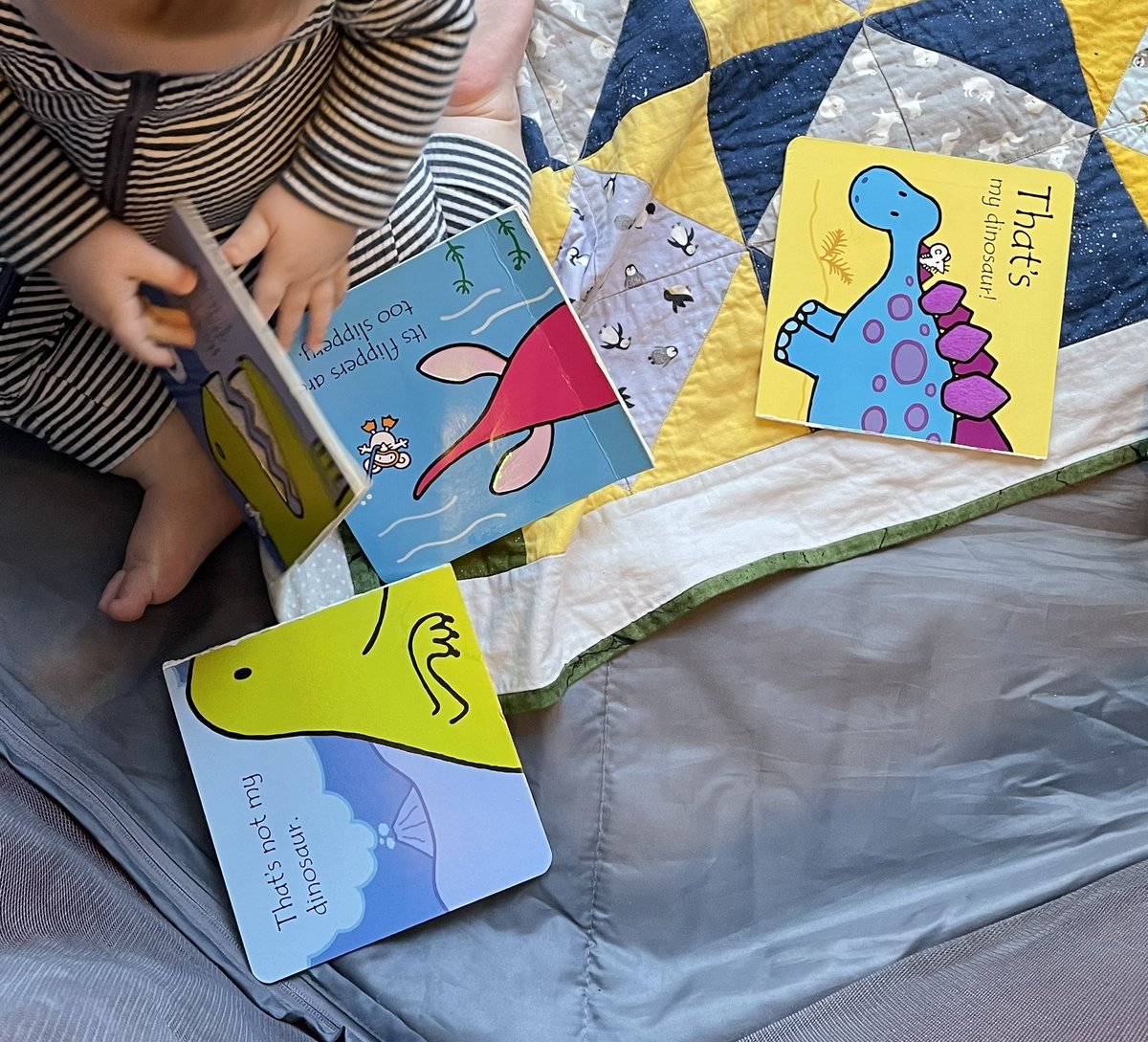 That’s not my ‘That’s not my dinosaur’, its narrative is too discontinuous.