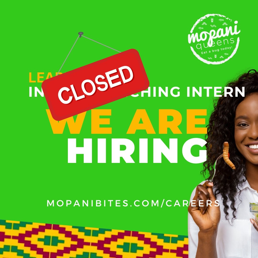 We have found budding Insectivists to join our growing family. 🎉

Thank you to everyone that showed interest in joining us! 🏡 
We appreciate you taking time to apply.
mopanibites.com 

#growing #mopaniqueens #insectmuncher #edibleinsects #mopaniworms #insectivist