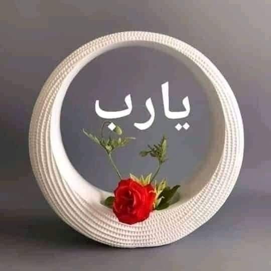 gehanal30828362's tweet image. اللهم الهى
اسالك تذللا فاعطنى تفضلا🤲🤲🤲