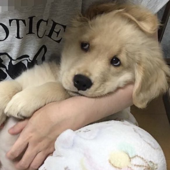 takemybear 🐶 tweet media