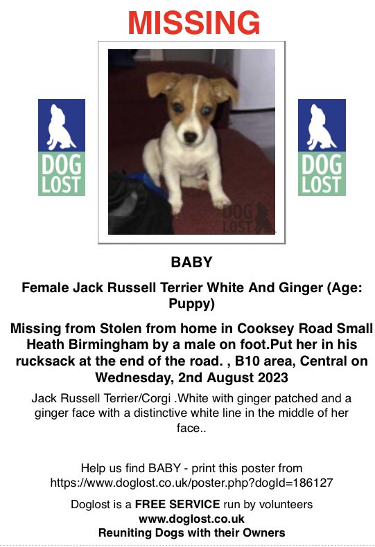 Stolen&Missing Pets tweet media