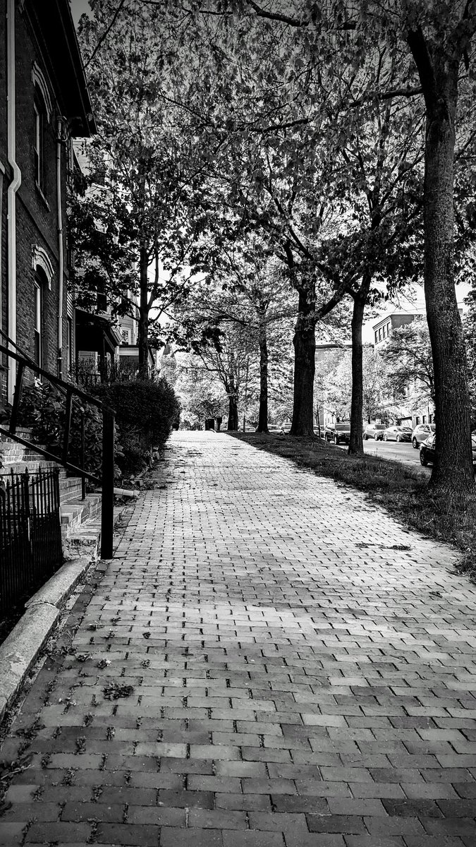vintiga's tweet image. Random Street 

#RandomStreet #PortlandMaine #VisitMaine 
#PhotographyIsArt #Photography #TravelPhotography #BlackAndWhite #BlackAndWhitePhotography  #Pixel7 #Pixel7Pro #PixelPhotography #ShotOnPixel #GooglePixel