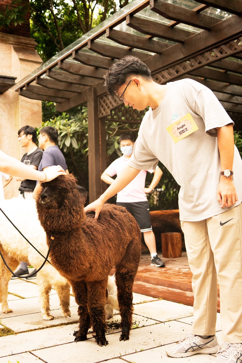 When you bring #Llama to your <a href="/Minecraft/">Minecraft</a> build team event gathering. #Minecraft #minecraftart #Minecraftbuilds