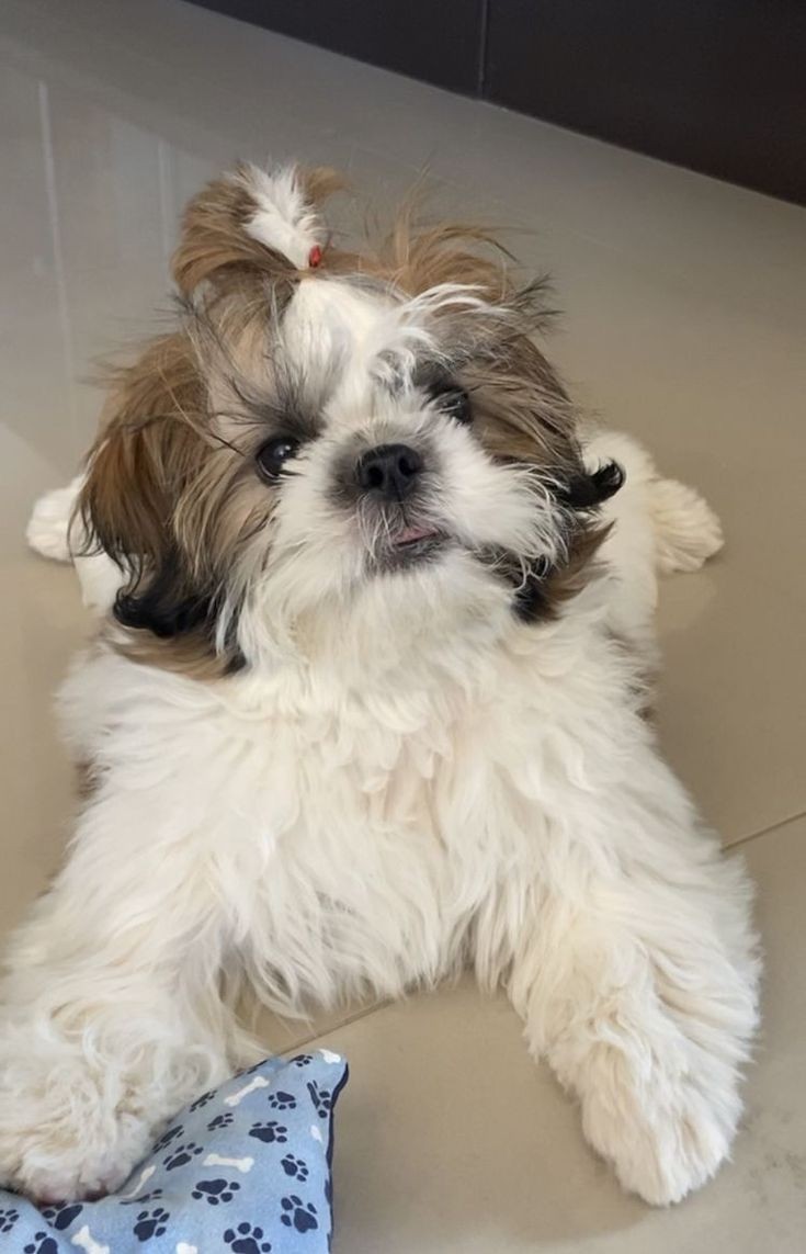 🧺 : gana, what r u doing, huh?

#akia_rchive