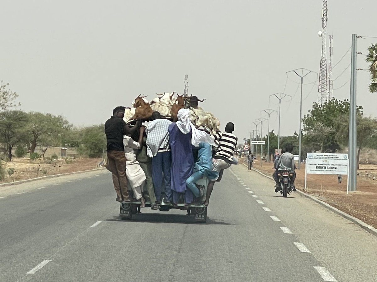 islamane's tweet photo. Des comptes trolls ont envahi les réseaux sociaux du #Niger et véhiculent des faussent infos sur le pays. Faites attentions à ce que vous lisez, likez et partagez.

Vérifiez tjr le contexte de l’info, la réputation de l’auteur et n’hésitez pas à demander la fiabilité de l’info. https://t.co/cDuXIDqyRE