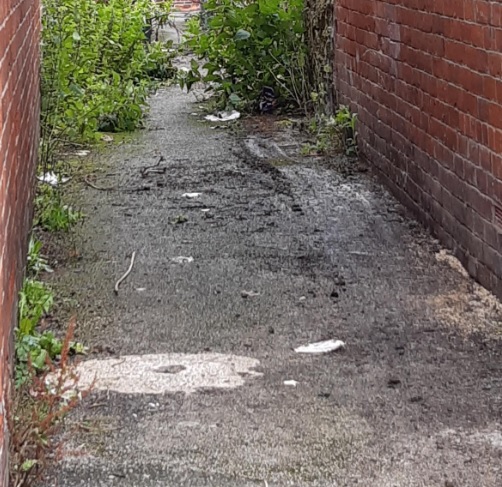 Community Protection North Hub tweet media