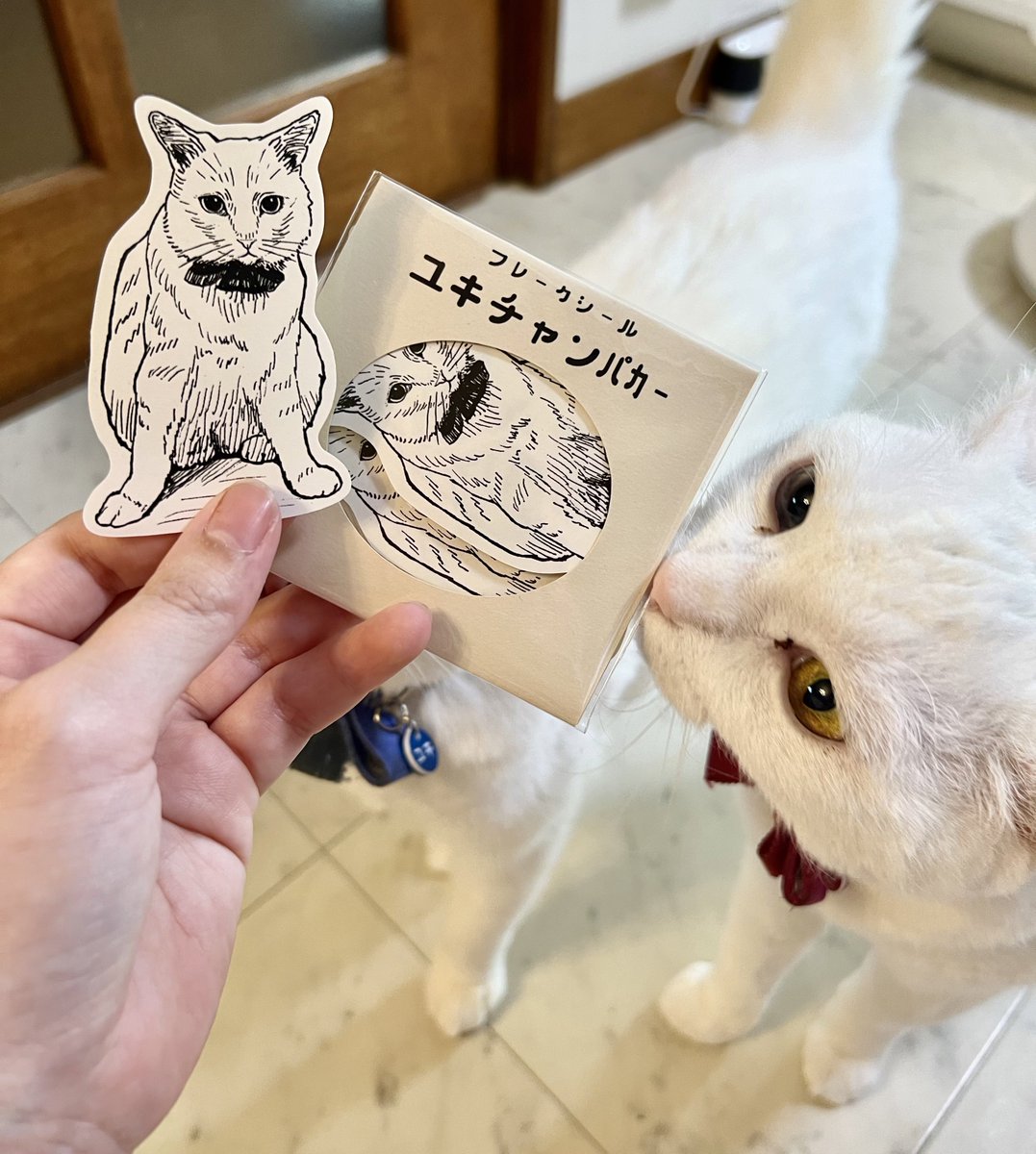 MillnaCat's tweet photo. オーダー似顔絵をシールにしてくれるやつ買ってみた！！！！！！！！かわいすぎて日記とか冷蔵庫とかに貼りまくり😭💘ﾊﾟｶｰ

ぼわぼわのいぬ @ayugon_vrc さんのショップです🎶𝓛𝓸𝓿𝓮→https://t.co/jP04h3cTNE https://t.co/d5187COu69