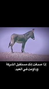 _mhomaid's tweet photo. @MoaathAlattas عشان أحافظ على كلية الشركة 🤣💔 https://t.co/nEjc1nZto0